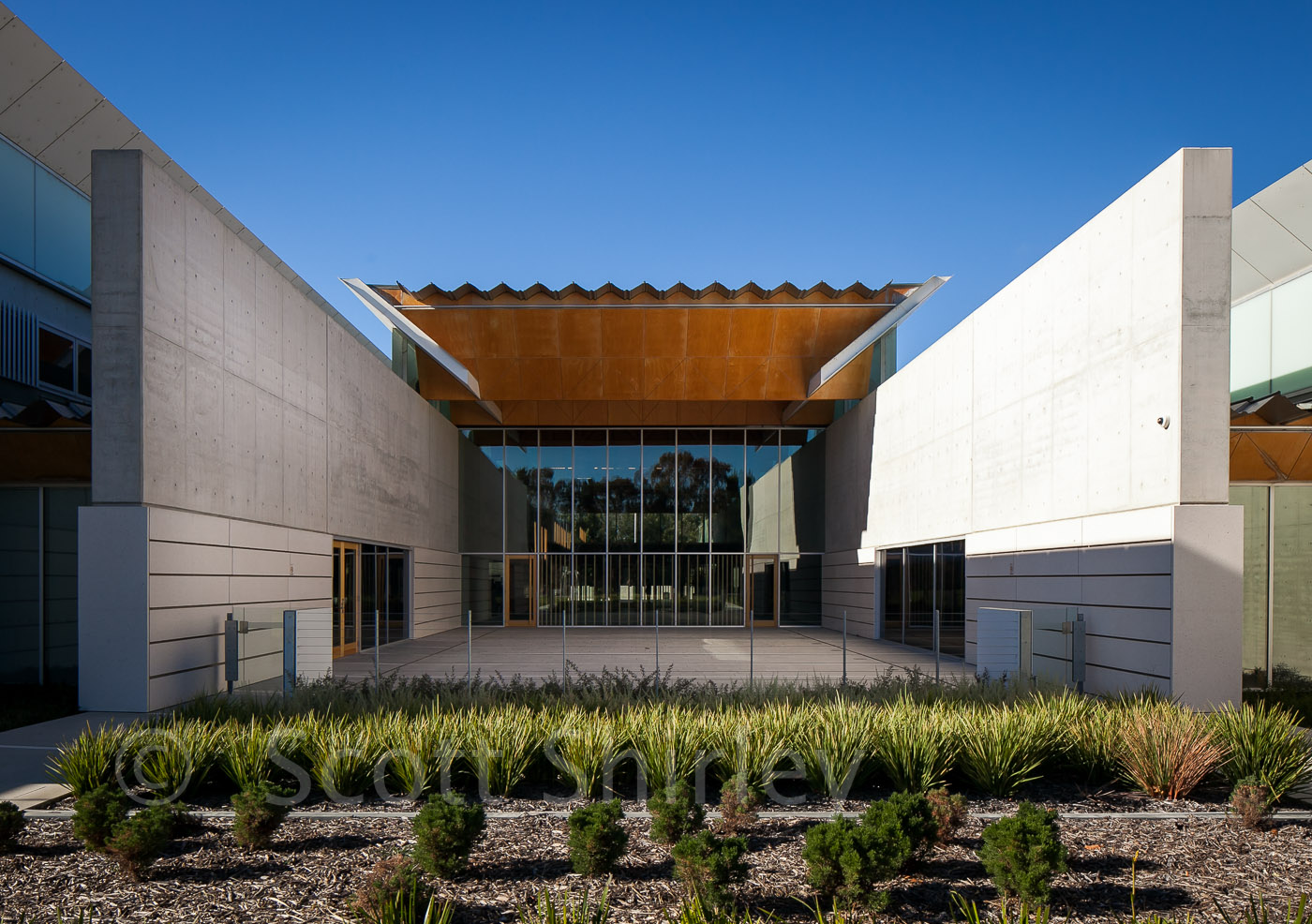 6374 national portrait gallery australia canberra Scott Shirley 